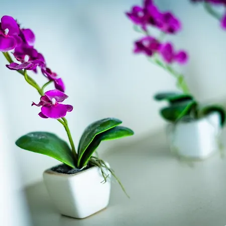 Maison Rabelais Frühstückspension