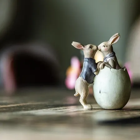 Frühstückspension Maison Rabelais 3*