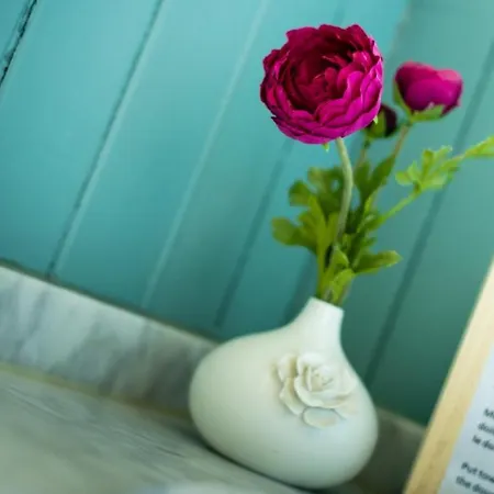 Frühstückspension Maison Rabelais De Haan