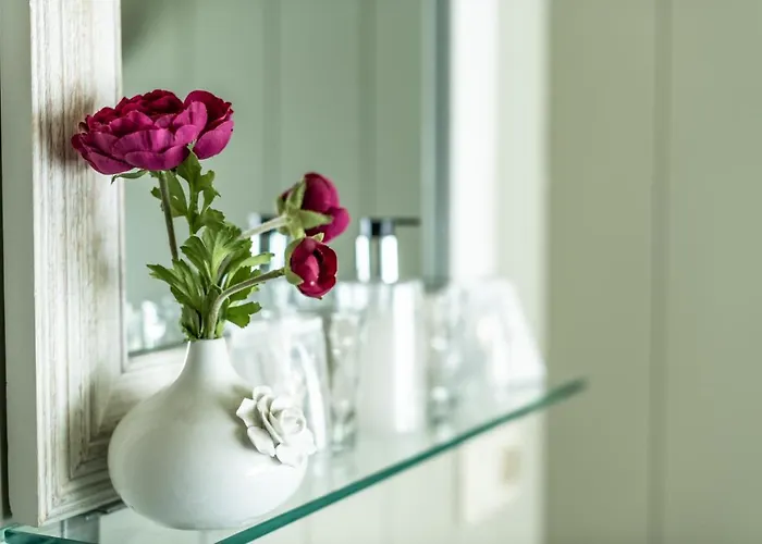 Maison Rabelais 3* דה האן