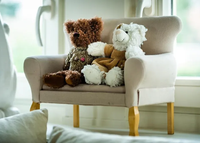 Maison Rabelais דה האן