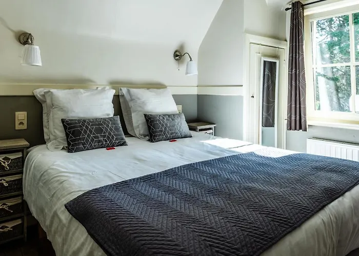 Maison Rabelais 3* De Haan