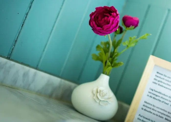 Bed & Breakfast Maison Rabelais De Haan